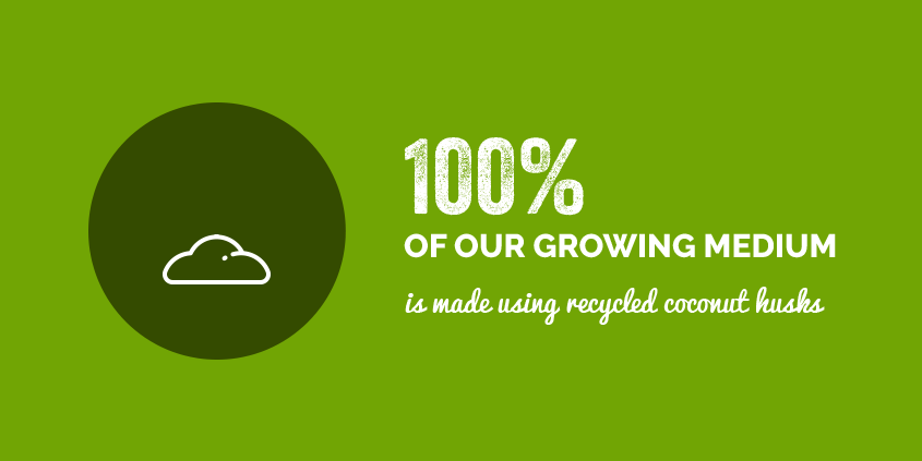 100% of our growing medium is made from recycled coconut husks