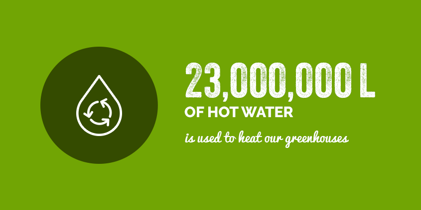 23,000,000 of hot water is used to heat our greenhouses