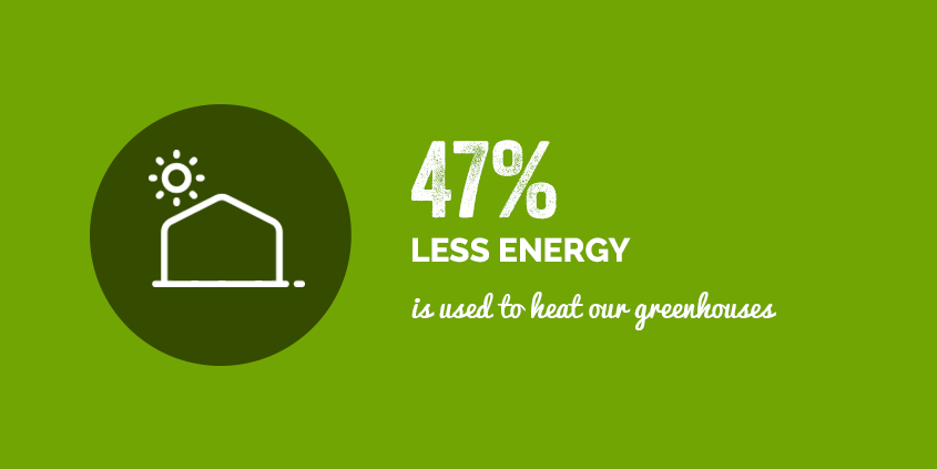 47% less energy is used to heat our greenhouses