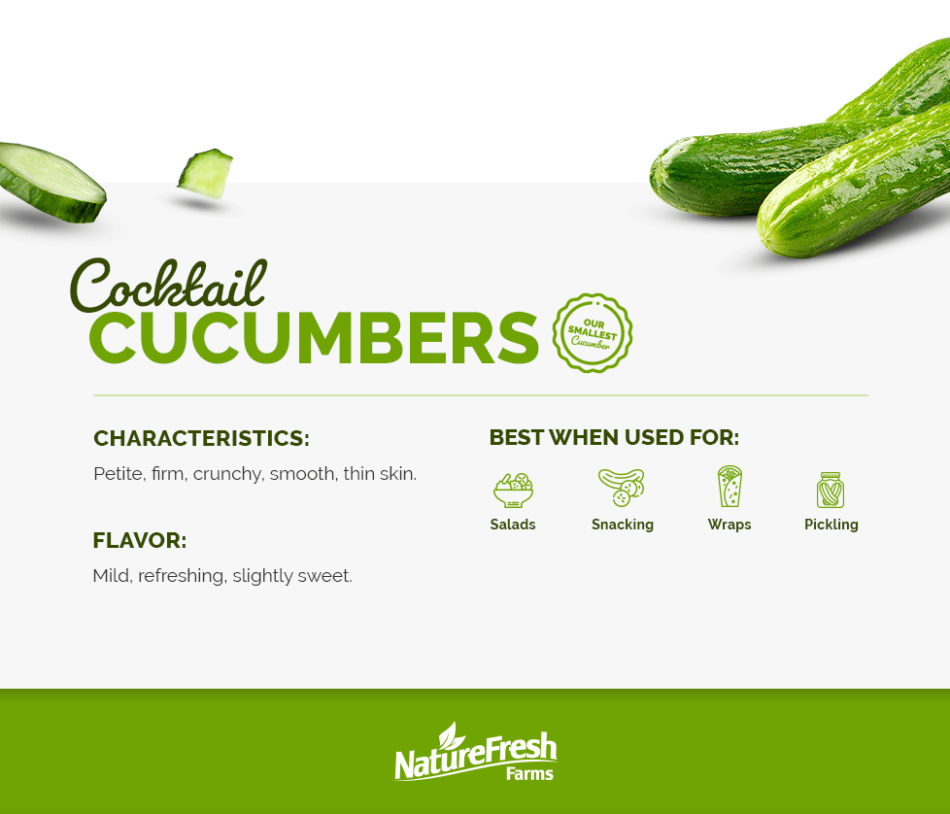 Cocktail Cucumbers - Infographic