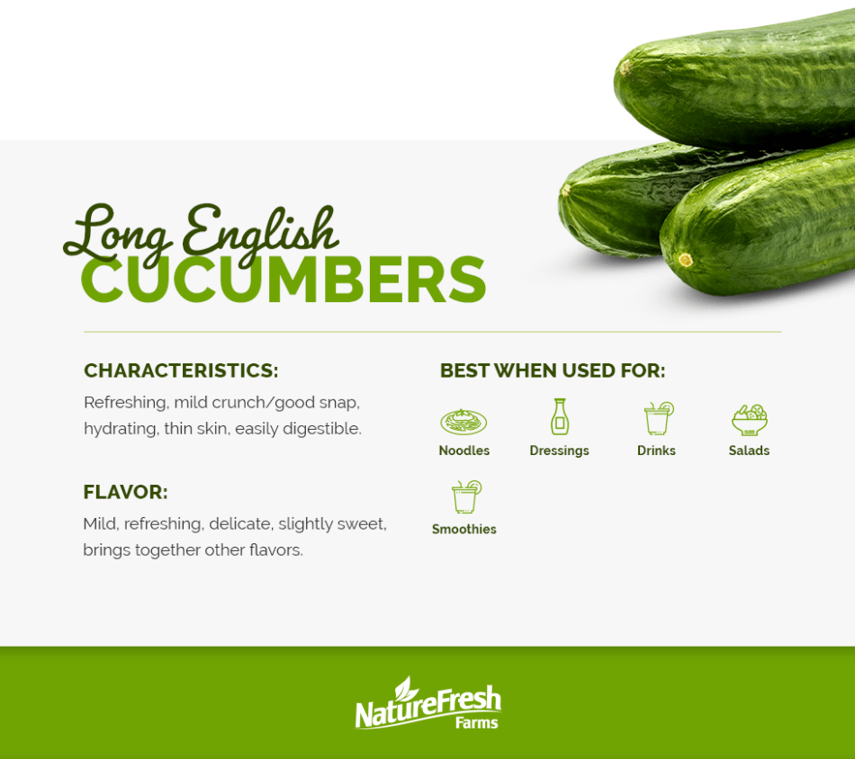 Long English Cucumbers - Infographic