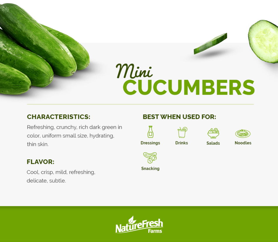 Mini Cucumbers - Infographic