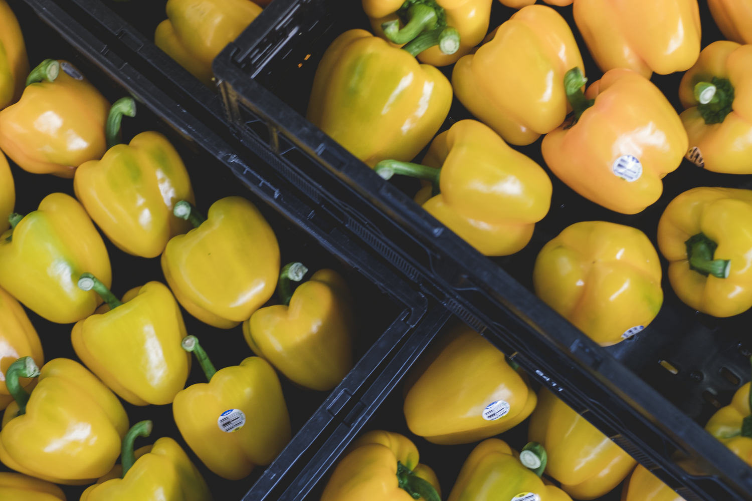 Top down view of Yellow Bell Peppers in storage crates