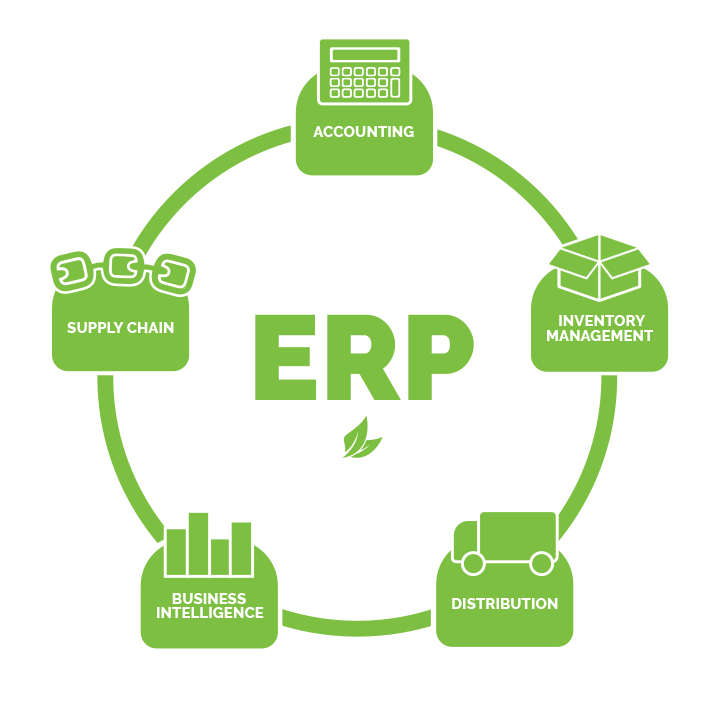 ERP infographic