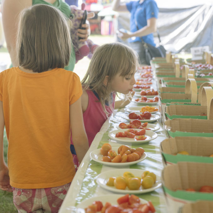 Children inspecting tomatoes at the Greenhouse Contest to determine their favorite