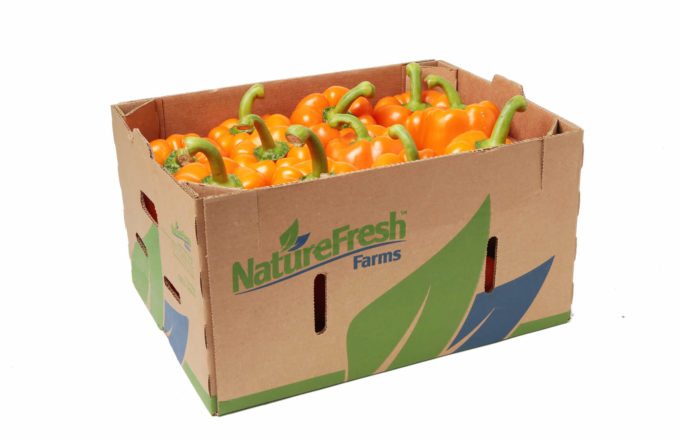 Bell Peppers  Nature Fresh Farms