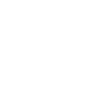 The Bug Brigade icon