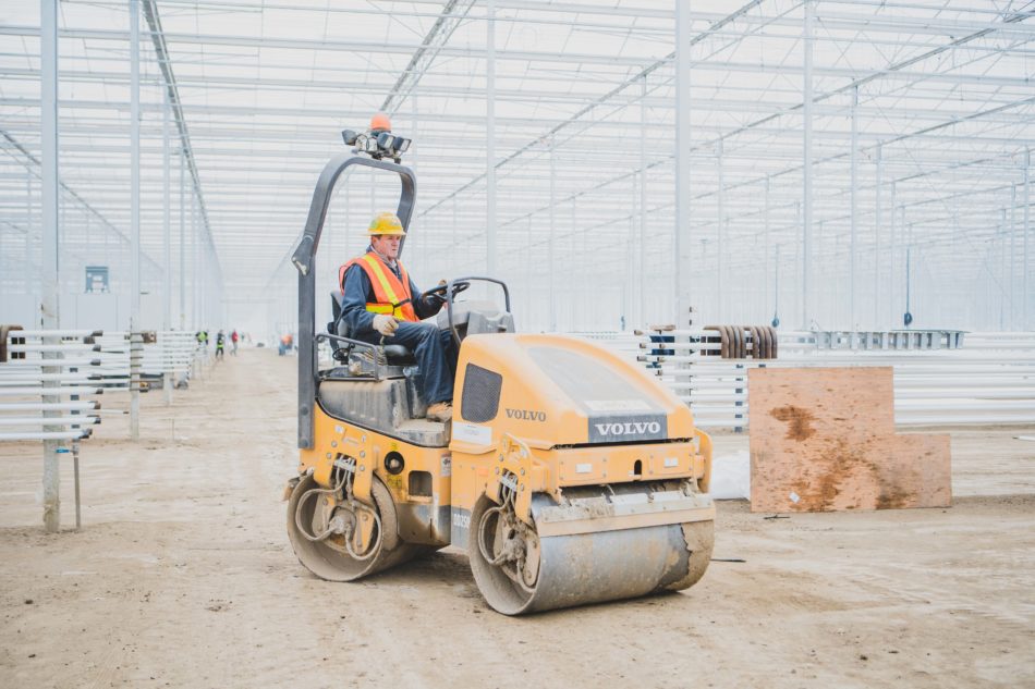A construction worker on a roller flattening the ground on a construction site
