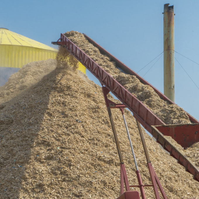 Pile of wood chips for biomass boiler
