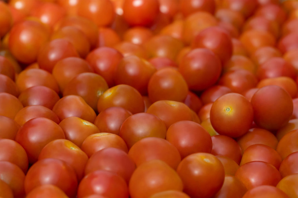 A pile of vibrant Cherry Tomatoes