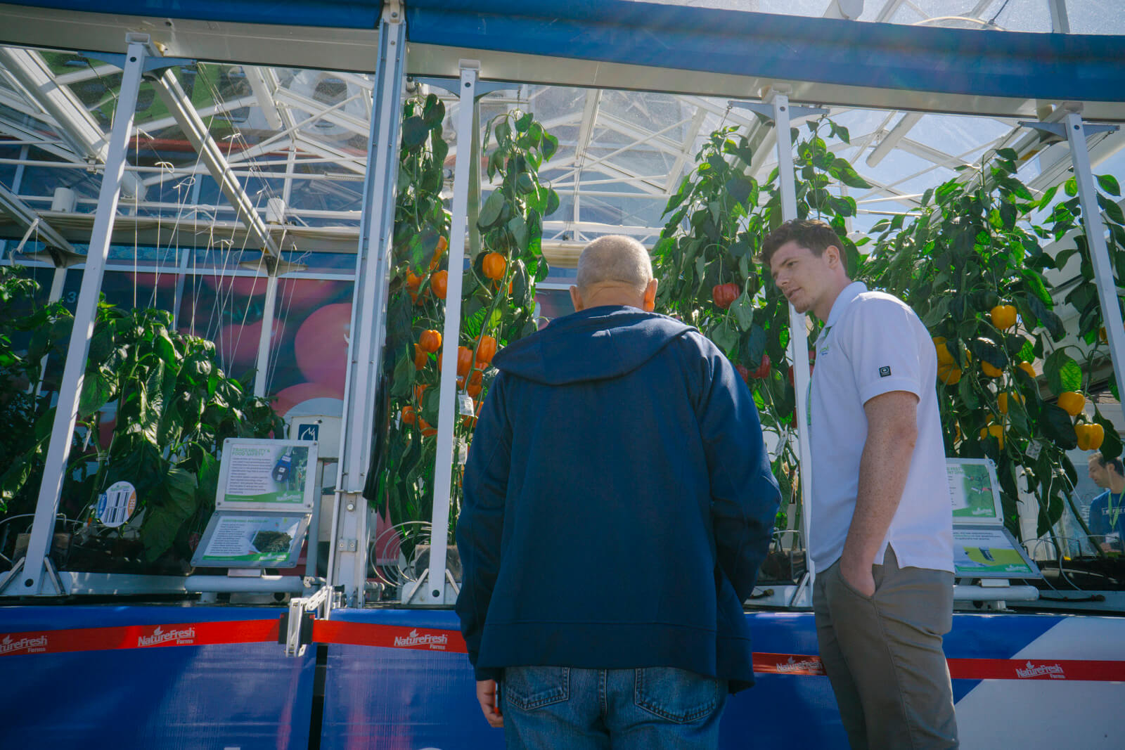 A consumer learning about his Bell Pepper plants are grown
