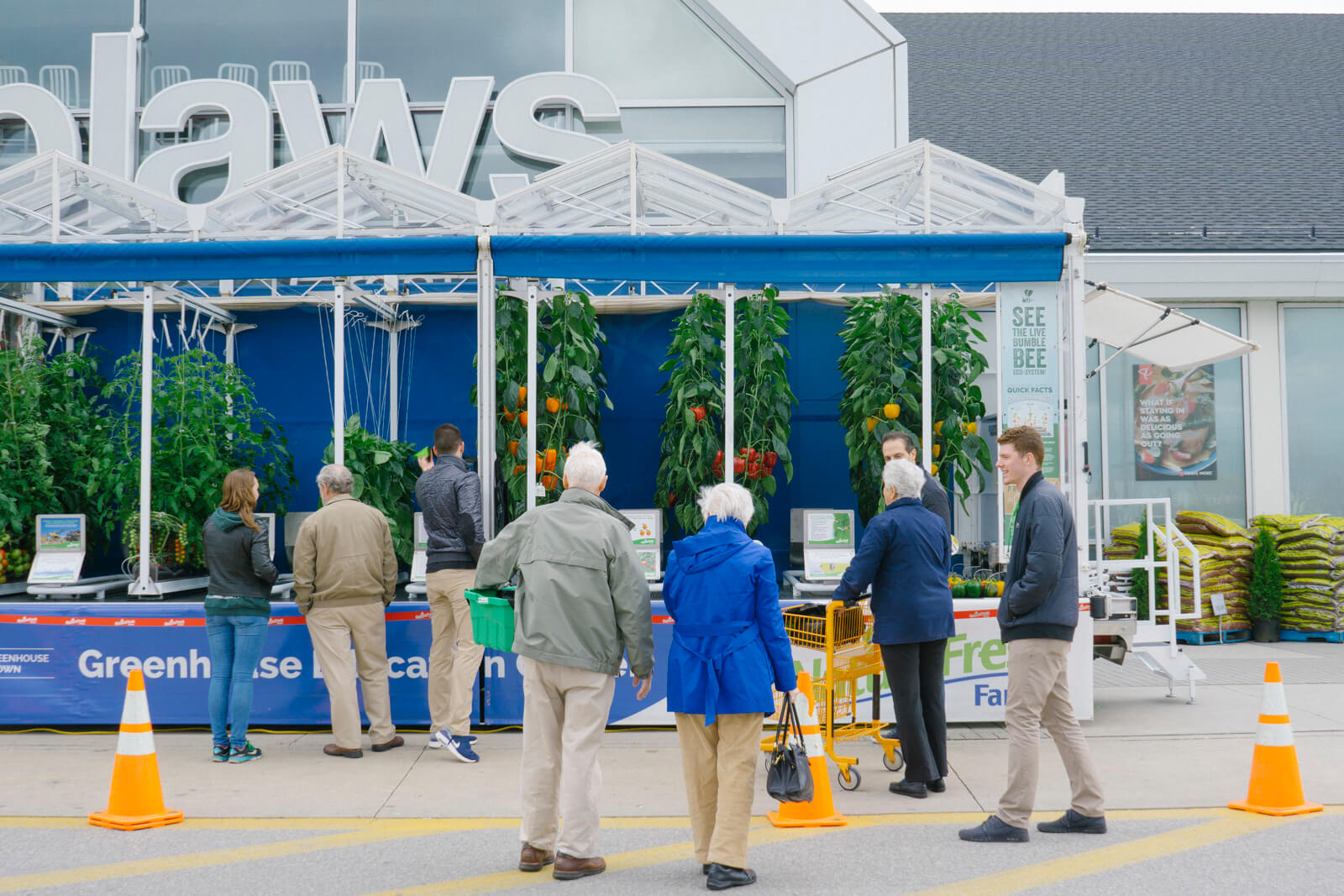 Consumers learn about how their tomatoes, bell peppers & cucumbers are grown