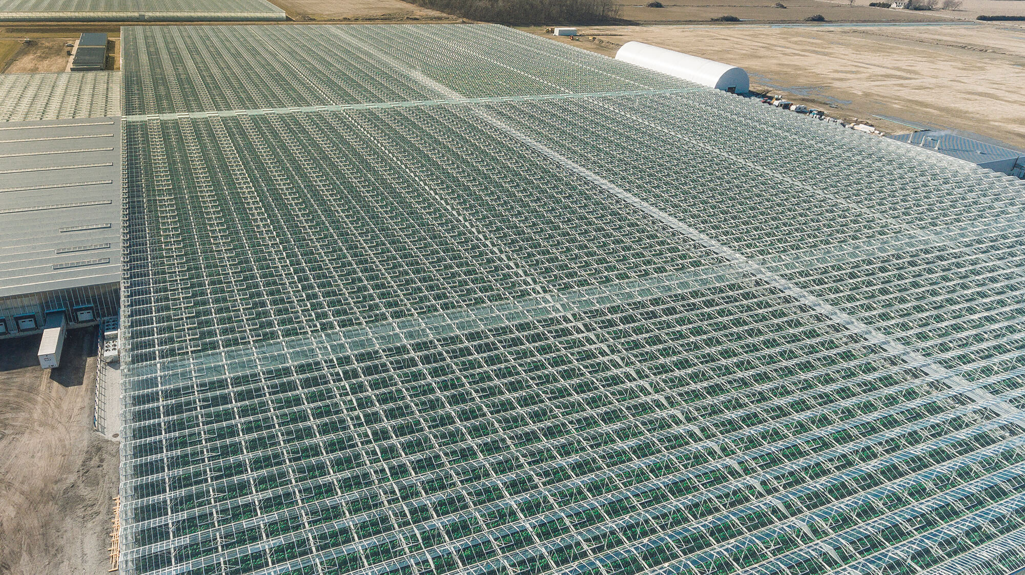 Current greenhouse at NatureFresh Farms
