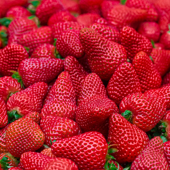 Strawberry Photo