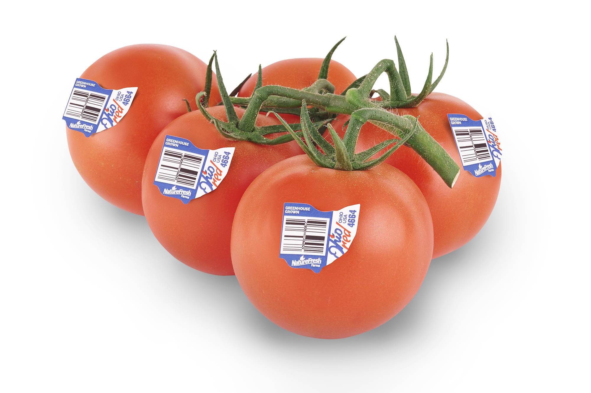 Ohio Red Tomatoes