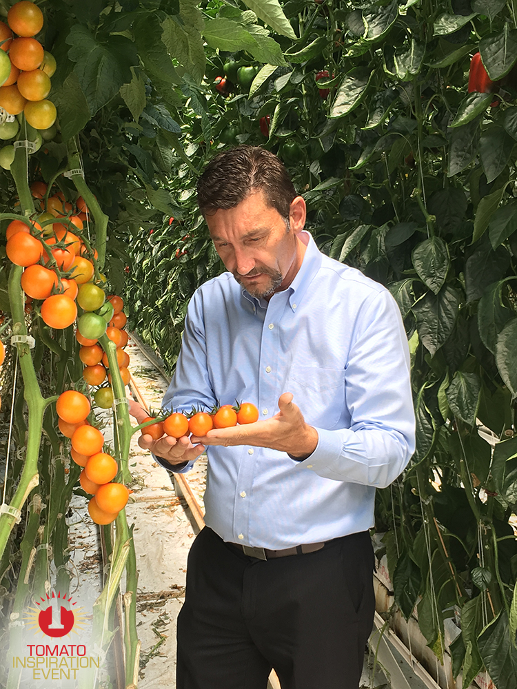 Peter Quiring admiring tomatoes in the greenhouse