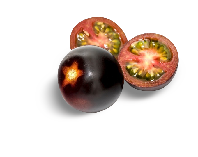 YOOM Tomatoes