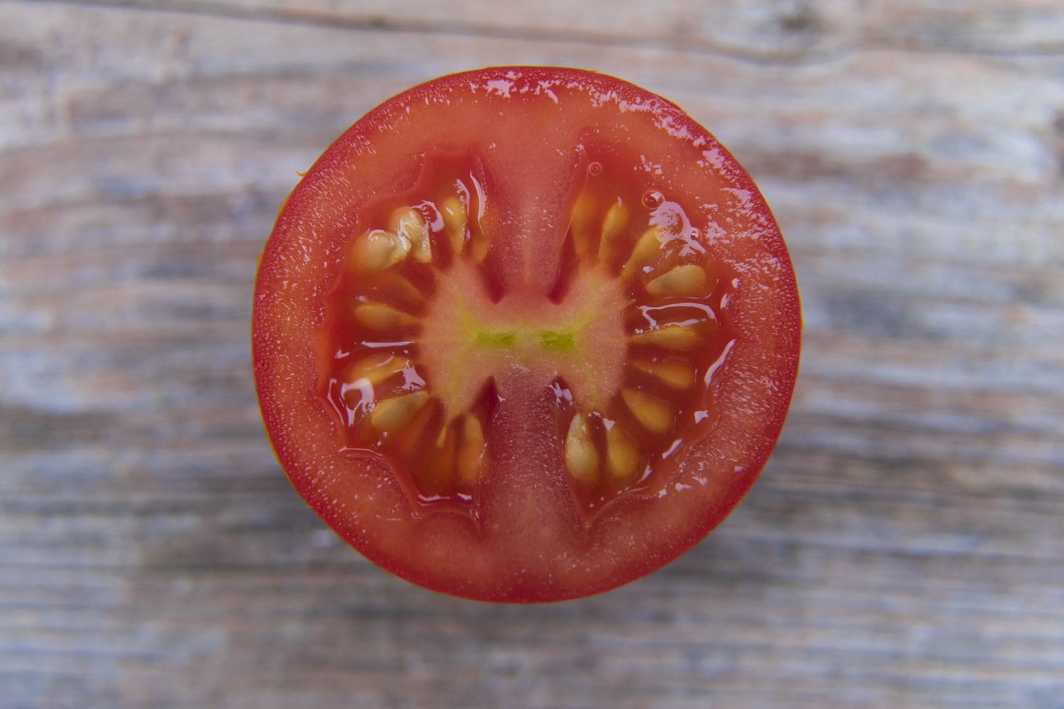 Closeup of a cut Cherry Tomato