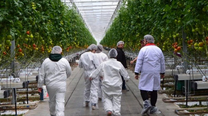 Group of growers in greenhouse