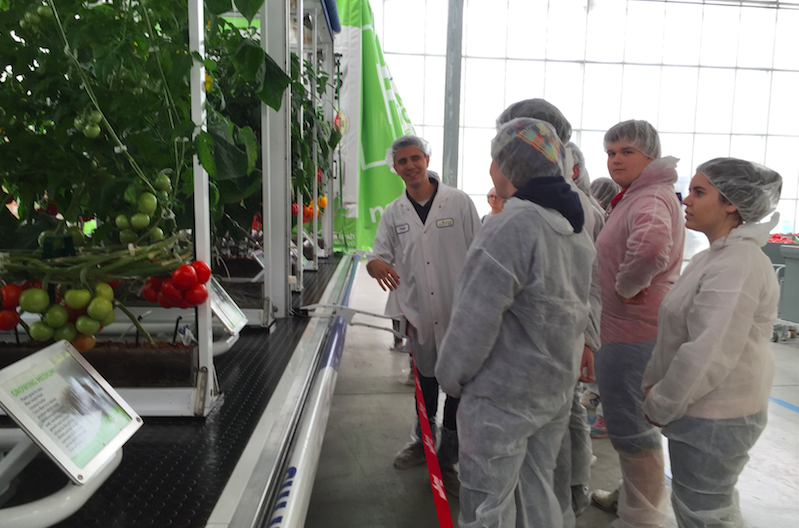 group looking at portable greenhouse produce