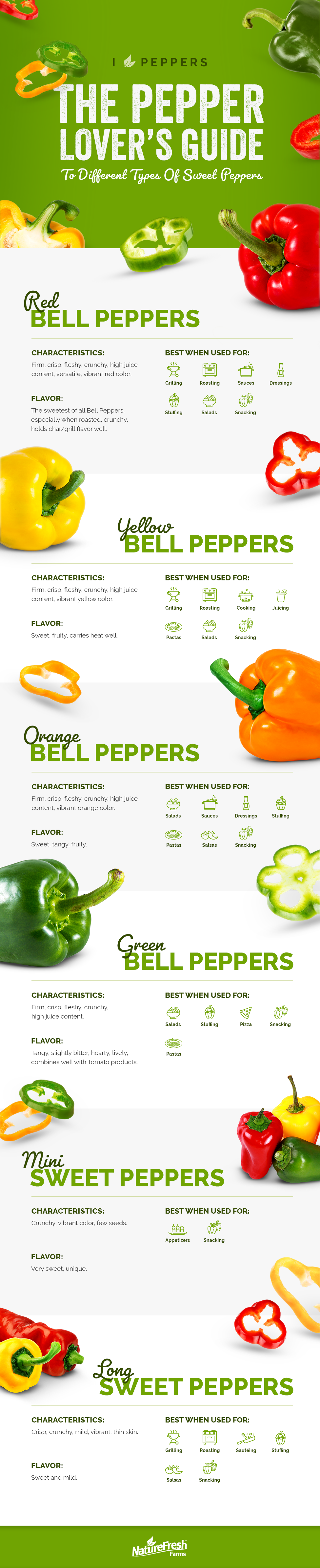 The Guide To Different Types Of Sweet Bell Peppers (Infographic)